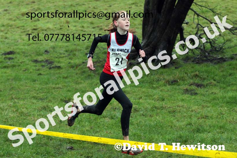 Girls under-13s, NECAA Junior Cross Country Relays, Thornley Farm, Peterlee, Saturday, December 12th. Photo: David T. Hewitson/Sports for All Pics